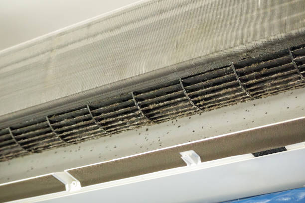 Best HVAC Duct Inspection Services  in Moulton, AL