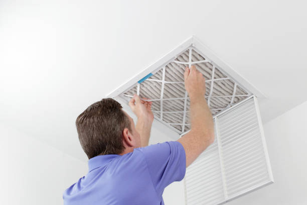 Best Air Duct Cleaning Near Me  in Moulton, AL
